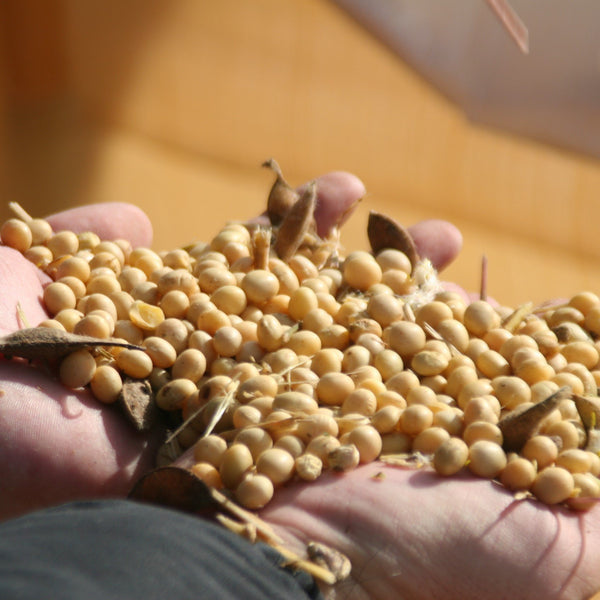 Adachi Saishikomi Shoyu Twice-Brewed Rich Japanese Soy Sauce 300ml