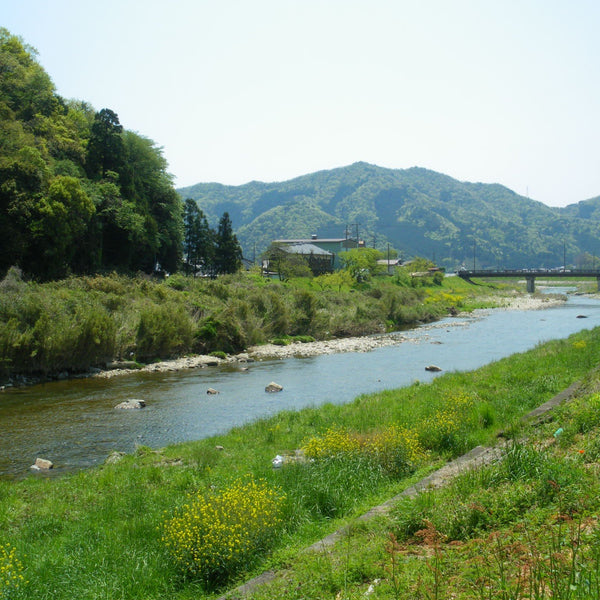 Adachi Saishikomi Shoyu Twice-Brewed Rich Japanese Soy Sauce 300ml