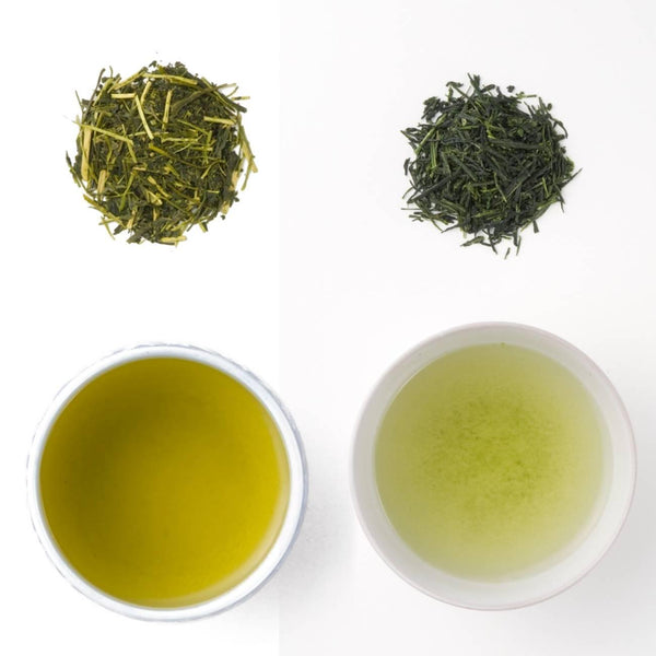 Luxurious Competititon Grade Uji Kyoto Gyokuro & Sencha Green Tea Set Box