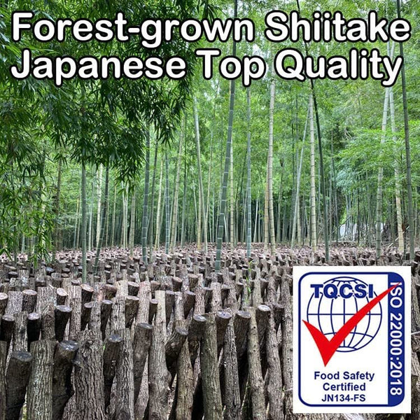 Sugimoto All-Purpose Organic Japanese Shiitake Mushroom Powder 40g