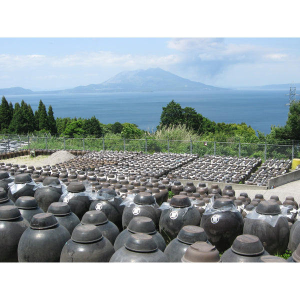 Marushige Naturally Fermented Bonito Rice Vinegar Seasoning 500ml