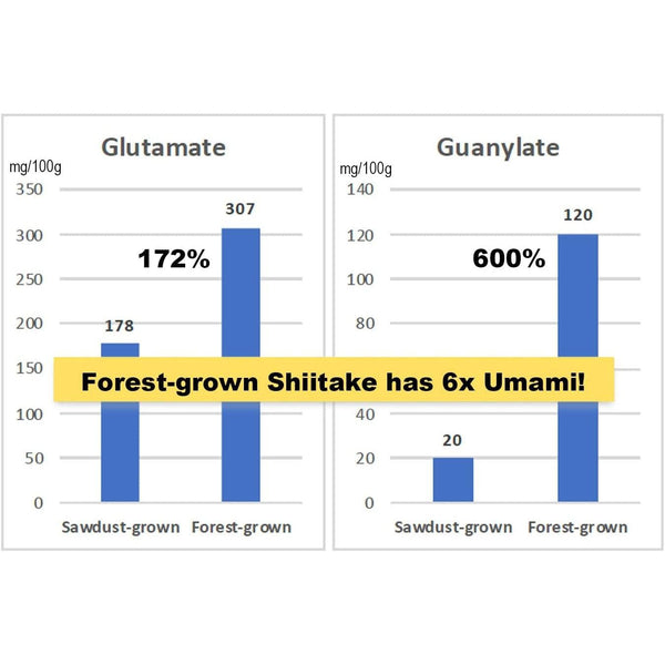 Sugimoto All-Purpose Organic Japanese Shiitake Mushroom Powder 40g