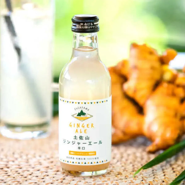 Tosayama-Extra-Spicy-Ginger-Ale-Premium-Organic-Craft-Soda-200ml-3-2026-04-08T04:24:30.560Z.webp