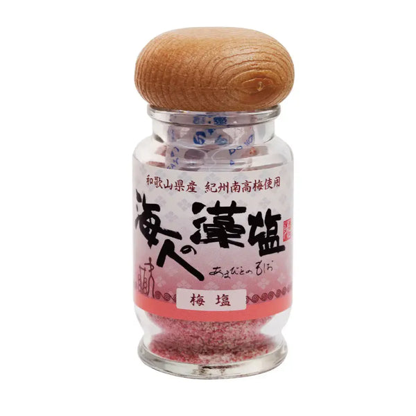 Ume Plum Seasoned Salt Natural Pickled Plum Sea Salt 35g