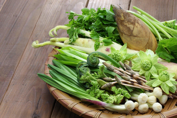 Exploring Sansai – A Beginner's Guide To Japanese Mountain Vegetables-Japanese Taste