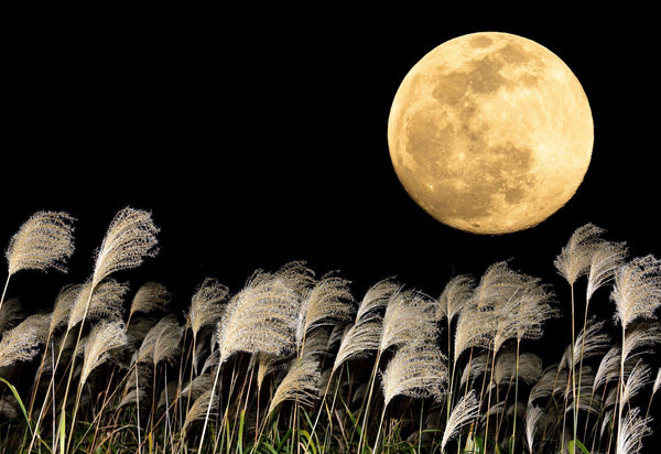 Tsukimi: Japan’s Mid-Autumn Festival Promises The Moon-Japanese Taste