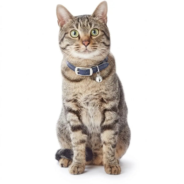 Add.Mate Cowhide Leather Cat Collar Safety-Release Buckle Blue 20-25cm