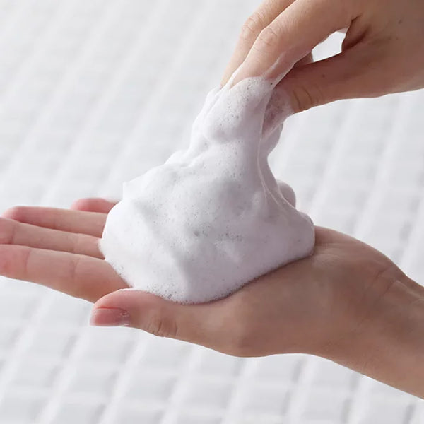 Ishizawa Toumei Shirohada Foaming Face Wash 100g