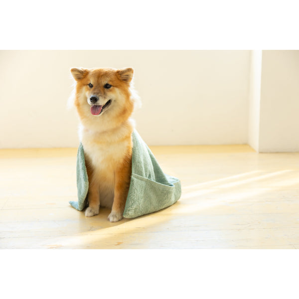 Jogan-Pet-Towel-Super-Absorbant-Bath-Towel-for-Pets-Green-34×78cm-10-2024-07-16T00:42:59.895Z.jpg