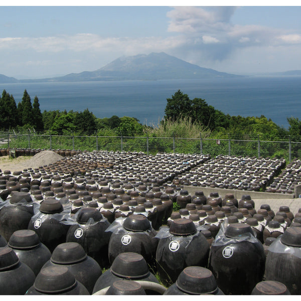 Marushige Migaki Strawberry Premium Drinking Vinegar 500ml