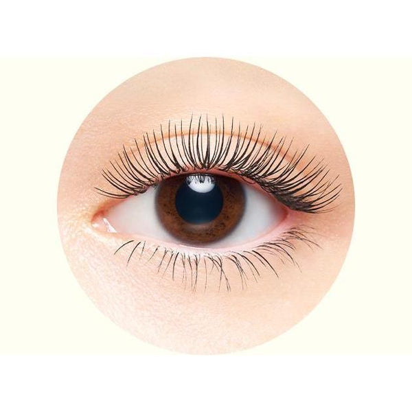 Shiseido Majolica Majorca Lash Expander Peacock Long Black 6g