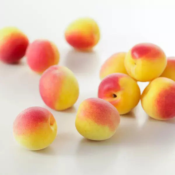 Tokiwa Ume Flavored Japanese Drinking Vinegar Premix Drink 125ml (Pack of 6)